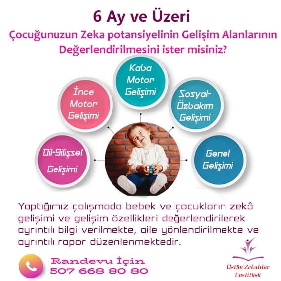 2019 | bebeklerde zeka | Büyük