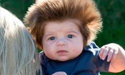 2018 | dahibebek | Küçük